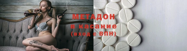 прущие грибы Горно-Алтайск