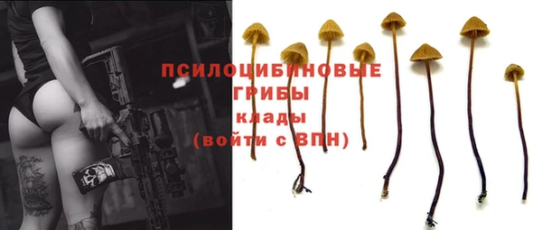 каннабис Вяземский