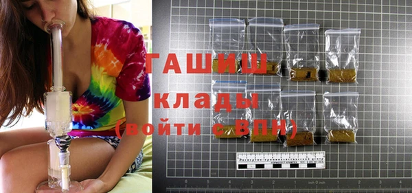 прущие грибы Горно-Алтайск